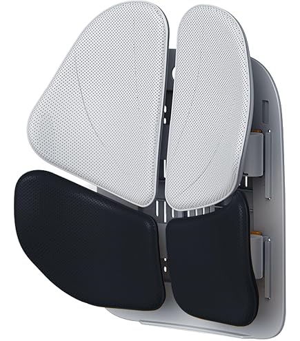 Amazon.co.jp: PACEIN ランバーサポート : 車＆バイク
